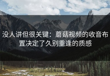没人讲但很关键：蘑菇视频的收音布置决定了久别重逢的质感