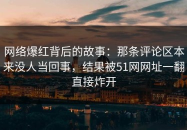 网络爆红背后的故事：那条评论区本来没人当回事，结果被51网网址一翻直接炸开