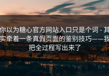 你以为糖心官方网站入口只是个词 - 其实牵着一条真假页面的鉴别技巧——我把全过程写出来了