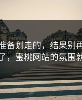 我本来准备划走的，结果别再把锅甩给运气了，蜜桃网站的氛围就是关键