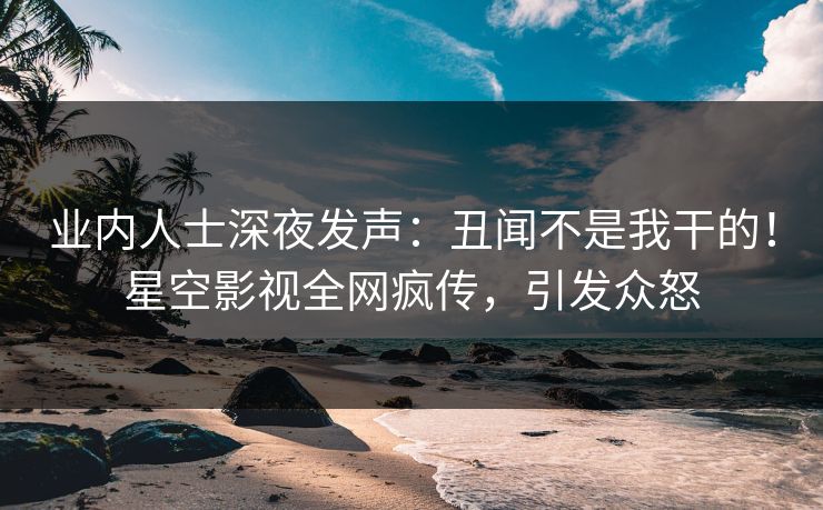 业内人士深夜发声：丑闻不是我干的！星空影视全网疯传，引发众怒