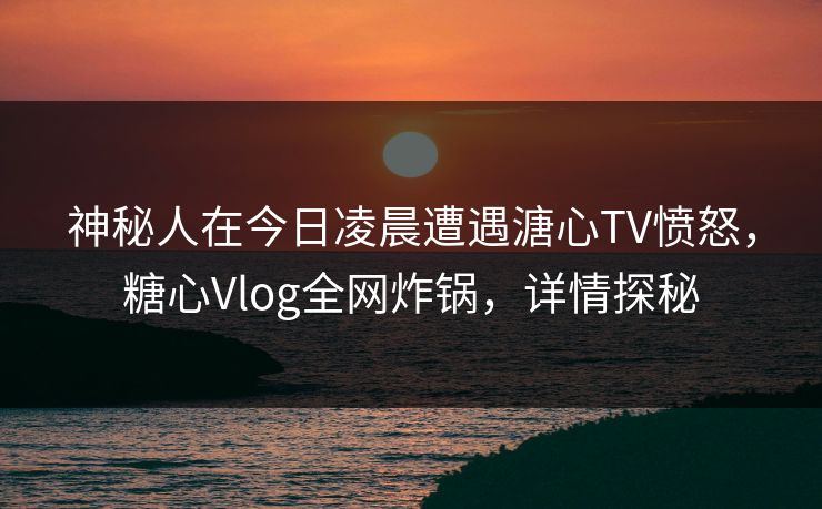 神秘人在今日凌晨遭遇溏心TV愤怒，糖心Vlog全网炸锅，详情探秘